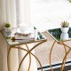 Glitzhome Gold Metal Nesting Accent End Table/Coffee Table with Glass Top, Set of 2