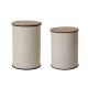 Glitzhome White Farmhouse Metal Enamel Storage Accent Table or Stool with Round Wood Lid, Set of 2