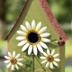 Glitzhome 52.5"H Green Metal Daisy Decorative Garden Birdhouse with Stake (KD)