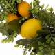 Glitzhome 28"H Wooden Window Frame with 22"D Greenery Lemon Wreath