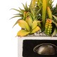 Glitzhome 6.25"H Succulent Plants in Wooden Box