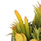 Glitzhome 6.25"H Succulent Plants in Wooden Box