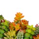 Glitzhome 13.75"H Succulent Plants in Handled Wooden Box