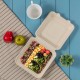 Oak PLUS 9 inch Natural Compostable & Disposable Sugarcane Clamshell Containers, 300 Pack