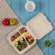 Oak PLUS 10 inch Natural Compostable & Disposable Sugarcane Sectional Clamshell Containers, 300 Pack