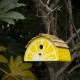 Glitzhome 11.5"L  Distressed Solid Wood Lemon Birdhouse