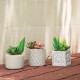 Glitzhome Artificial Succulent Plants in Cement Pots, Set of 3