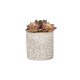 Glitzhome Artificial Succulent Plants in Cement Pots, Set of 3