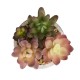 Glitzhome Artificial Succulent Plants in Cement Pots, Set of 3