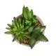 Glitzhome Artificial Succulent Plants in Cement Pots, Set of 3