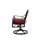 Elm PLUS 2 Piece Cast Aluminum Patio Dining Swivel Chair with Red Cushion, Olefin Fabric