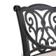 Elm PLUS Set of 2 Cast Aluminum Patio Dining Chairs with Beige Cushions, Olefin Fabric