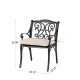 Elm PLUS Set of 2 Cast Aluminum Patio Dining Chairs with Beige Cushions, Olefin Fabric