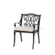 Elm PLUS Set of 2 Cast Aluminum Patio Dining Chairs with Beige Cushions, Olefin Fabric