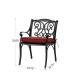 Elm PLUS Set of 2 Cast Aluminum Patio Dining Chairs with Wine Red Cushions, Olefin Fabric