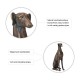 Glitzhome 30.25"H MGO Sitting Greyhound Dog Statue