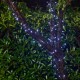 Glitzhome 22 ft Solar String Light with 50 LEDs