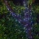 Glitzhome 38.6 ft Solar String Lights with 100 LEDs