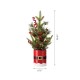 Glitzhome 22"H Lighted Santa Belt Potted Artificial Table Tree