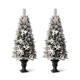 Glitzhome 5ft Pre-Lit Pine Artificial Christmas Porch Tree with 150 Warm White Lights and Poinsettias, Set of 2