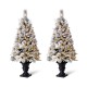 Glitzhome 4ft Pre-Lit Pine Artificial Christmas Porch Tree with 100 Warm White Lights and Poinsettias, Set of 2