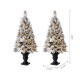 Glitzhome 4ft Pre-Lit Pine Artificial Christmas Porch Tree with 100 Warm White Lights and Poinsettias, Set of 2