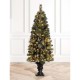 Glitzhome 5ft Pre-Lit Green Flocked Pine Artificial Christmas Porch Tree with 130 Warm White Lights, Set of 2