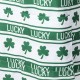 Glitzhome St. Patrick's Day Shamrocks Apron with 2 Roomy Pockets