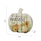 Glitzhome 9.75"L "Happy Harvest" Wooden Pumpkin Table Sign Decor