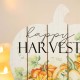 Glitzhome 9.75"L "Happy Harvest" Wooden Pumpkin Table Sign Decor