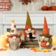 Glitzhome Set of 3 13"H Fall Fabric Gnome Decor