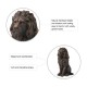 Glitzhome 20.5"H MGO Guardian Standing Lion Statue, Set of 2