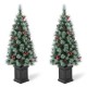 Glitzhome 2PK 4ft Pre-Lit Pine Artificial Christmas Porch Tree with 80 Warm White Lights, Pinecones and Red Berries