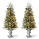 Glitzhome 2PK 4ft Pre-Lit Pine Artificial Christmas Porch Tree with 130 Warm White Lights and Pinecones