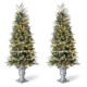 Glitzhome 2PK 5ft Pre-Lit Pine Artificial Christmas Porch Tree with 180 Warm White Lights and Pinecones