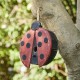 Glitzhome 11.5"H Distressed Solid Wood Ladybug Birdhouse