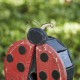 Glitzhome 11.5"H Distressed Solid Wood Ladybug Birdhouse