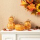 Glitzhome S/3 Multi Stripes Glass Pumpkin & Gourd Decor