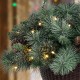 Glitzhome 24"D Pre-Lit Frosted Christmas Artificial Pinecone Hanging Basket with 50 Warm White Lights and Timer