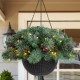 Glitzhome 24"D Pre-Lit Frosted Christmas Artificial Pinecone Hanging Basket with 50 Warm White Lights and Timer