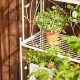 Glitzhome 52"H 4-Tiered White Rectangular Metal Shelf Plant Stand or Storage Rack