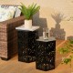 Glitzhome Multi-Functional Set of 2 Black Iron Cutout Floral Pattern Hexagonal Garden Stools or Planter Stand or Accent Table or Side Table