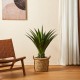 Glitzhome 3.25ft. Faux Agave Plant in Pot