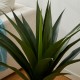 Glitzhome 3.25ft. Faux Agave Plant in Pot
