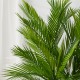 Glitzhome 5ft. Faux Palm Tree in Pot