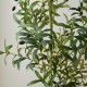 Glitzhome 6ft. Faux Olive Tree in Pot