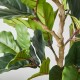 Glitzhome 5ft. Faux Fiddle Leaf Fig Tree in Pot