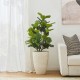 Glitzhome 3.5ft. Faux Fiddle Leaf Fig Tree in Pot