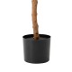 Glitzhome 5ft. Creative Shaped Faux Ficus Tree in Pot