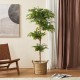 Glitzhome 5ft. Creative Shaped Faux Ficus Tree in Pot